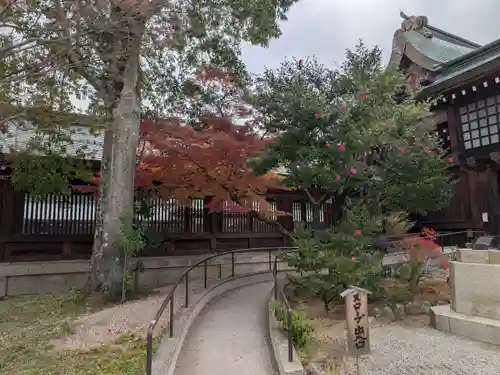 橿原神宮(奈良県)