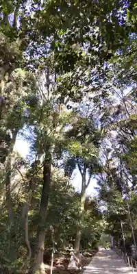 水度神社(京都府)