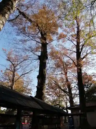 一言主神社の自然