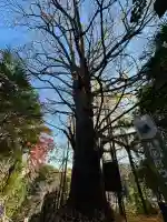 王子神社(東京都)