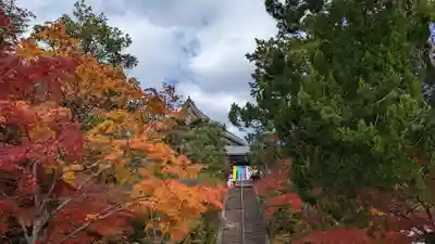 光明寺（粟生光明寺）(京都府)