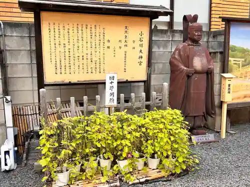【閉業】小石川大神宮(東京都)