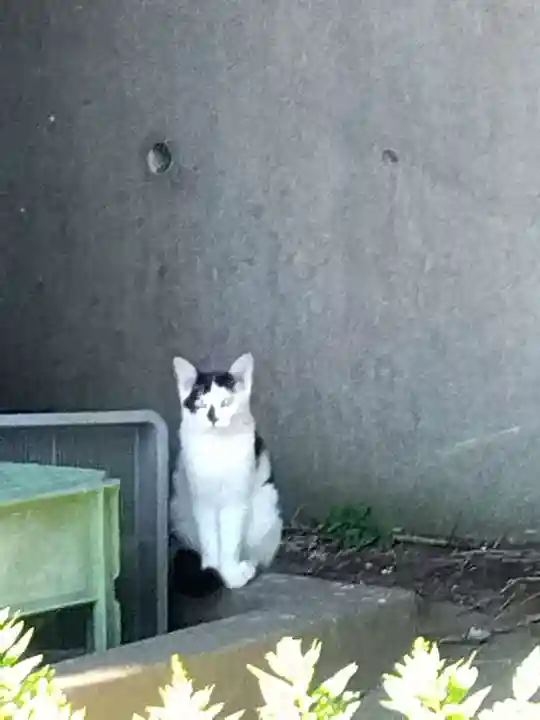 五郎兵衛稲荷神社(茨城県)