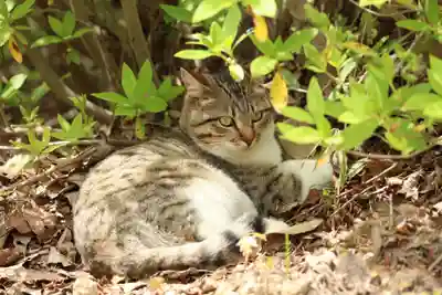 玉野御嶽神社(愛知県)