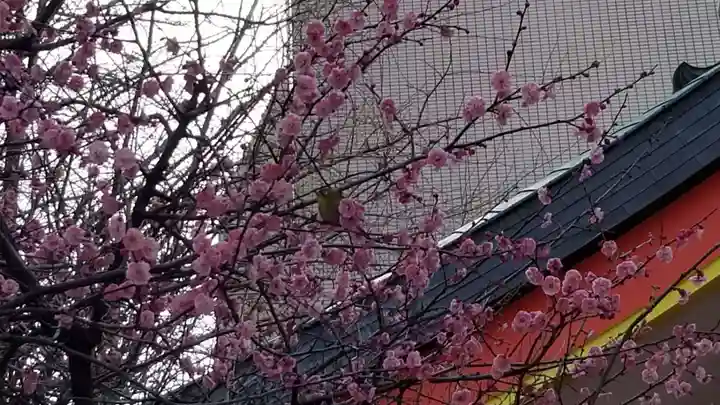 花園神社の自然