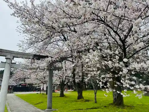 守りの神　藤基神社(新潟県)