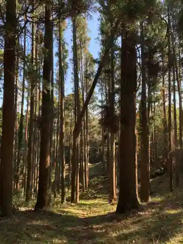 大杉神社の周辺