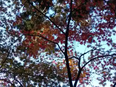 大原寺勝林院(京都府)
