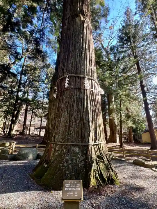 河口浅間神社(山梨県)