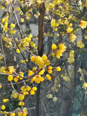大蓮寺(京都府)