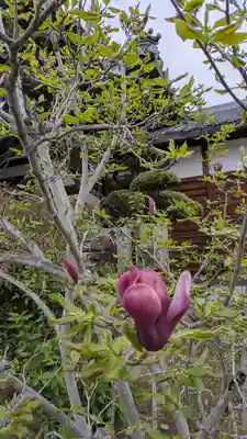 圓藏院(円蔵院)(京都府)