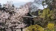 宗像神社の自然