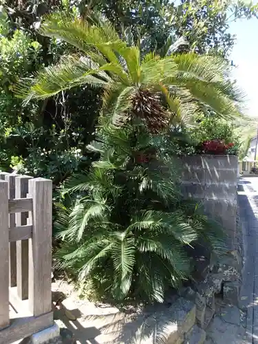 下宮（出雲大社末社）の自然