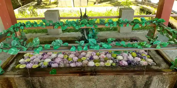 津島神社の手水舎