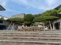 照國神社(鹿児島県)