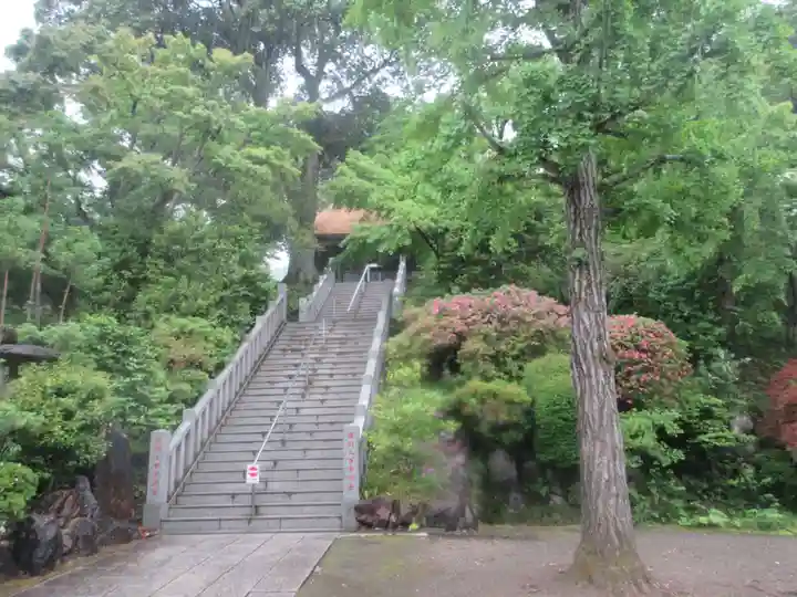 達磨寺(群馬県)