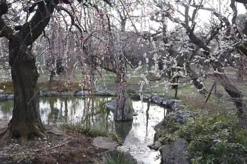 北野天満宮(京都府)
