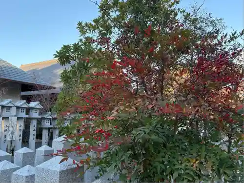 芦屋神社(兵庫県)