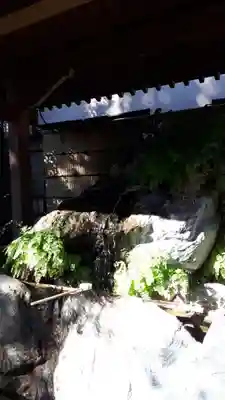 馬橋稲荷神社の手水舎
