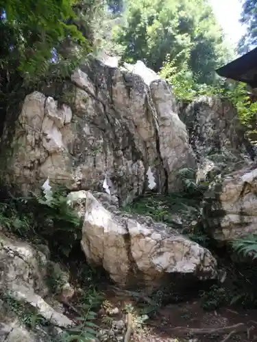 鹿島大神宮の自然