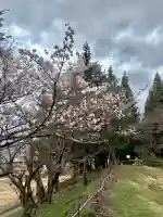 蚊里田八幡宮の{uncategorized: "未分類", other: "その他", undefined: "問題あり", building: "その他建物", grave: "お墓", sacred_gate: "鳥居", guardian: "狛犬", statue: "像", buddha: "仏像", history: "歴史", nature: "自然", garden: "庭園", animal: "動物", pagoda: "塔", temizu: "手水舎", mountain_gate: "山門・神門", sanctuary: "本殿・本堂", subordinate: "末社・摂社", art: "芸術", scenery: "景色", jizo: "地蔵", ema: "絵馬", goshuin: "御朱印", omikuji: "おみくじ", items: "授与品その他", amulet: "お守り", goshuincho: "御朱印帳", eats: "食事", festival: "お祭り", votive_dance: "神楽", shichigosan: "七五三参", wedding: "結婚式", experience: "体験その他", initially: "初詣", around: "周辺", anti_infection: "感染症対策"}