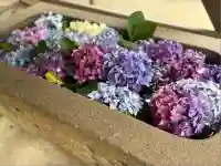 稲荷神社(愛知県)