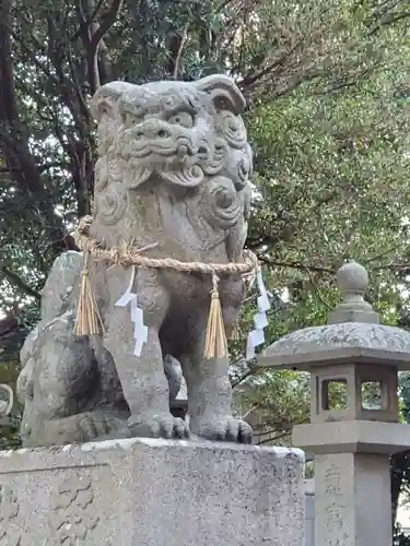 畠神社の狛犬