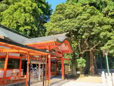 塩田八幡宮の本殿・本堂