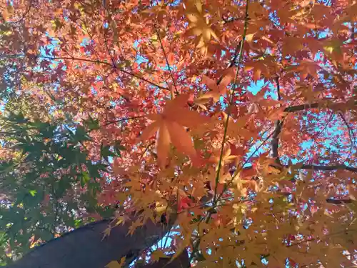 慈眼寺(大阪府)