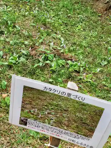 観音寺(福島県)