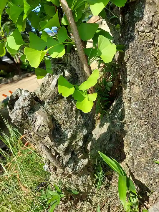 忌宮神社(山口県)