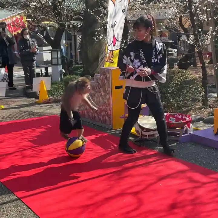 湯島天満宮のお祭り