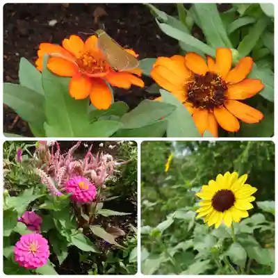 よみうりランド観音(東京都)