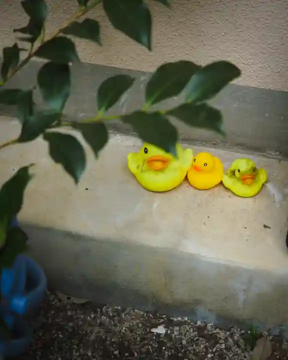 箭弓稲荷神社(埼玉県)