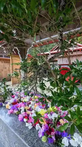 金蛇水神社(宮城県)