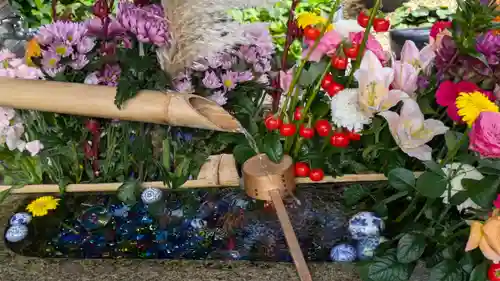 勝林寺(京都府)