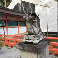 大原野神社の狛犬