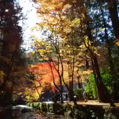 小國神社(静岡県)