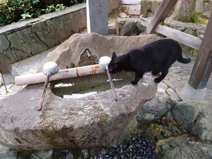 王子神社(徳島県)
