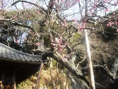 瑞泉寺のその他建物