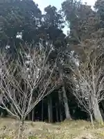 大宮温泉神社(栃木県)