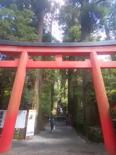 箱根神社の鳥居