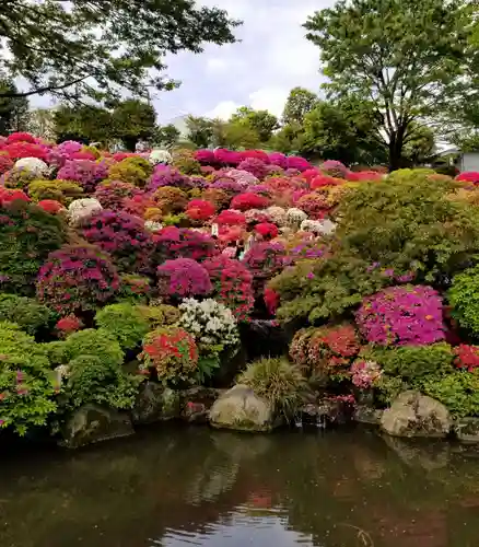 根津神社の庭園