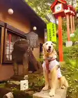 熊野皇大神社の動物