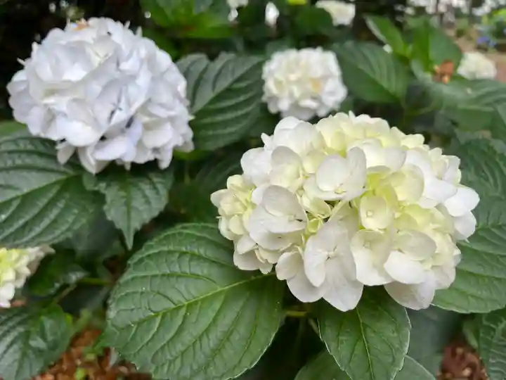赤城神社(群馬県)