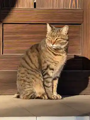 興禅寺(神奈川県)