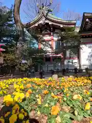 川越八幡宮(埼玉県)