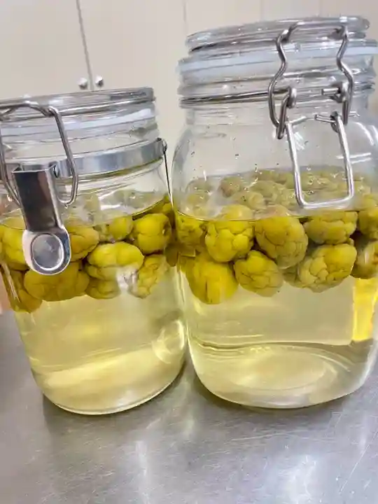 當光寺(東京都)