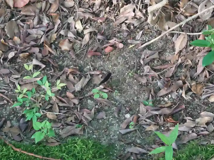 速谷神社(広島県)