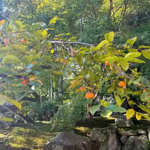 伊勢の国 四天王寺(三重県)